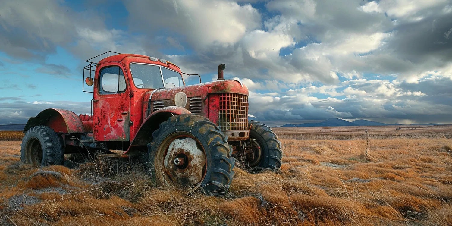 Jaka trawa lepsza z rolki czy siana?
