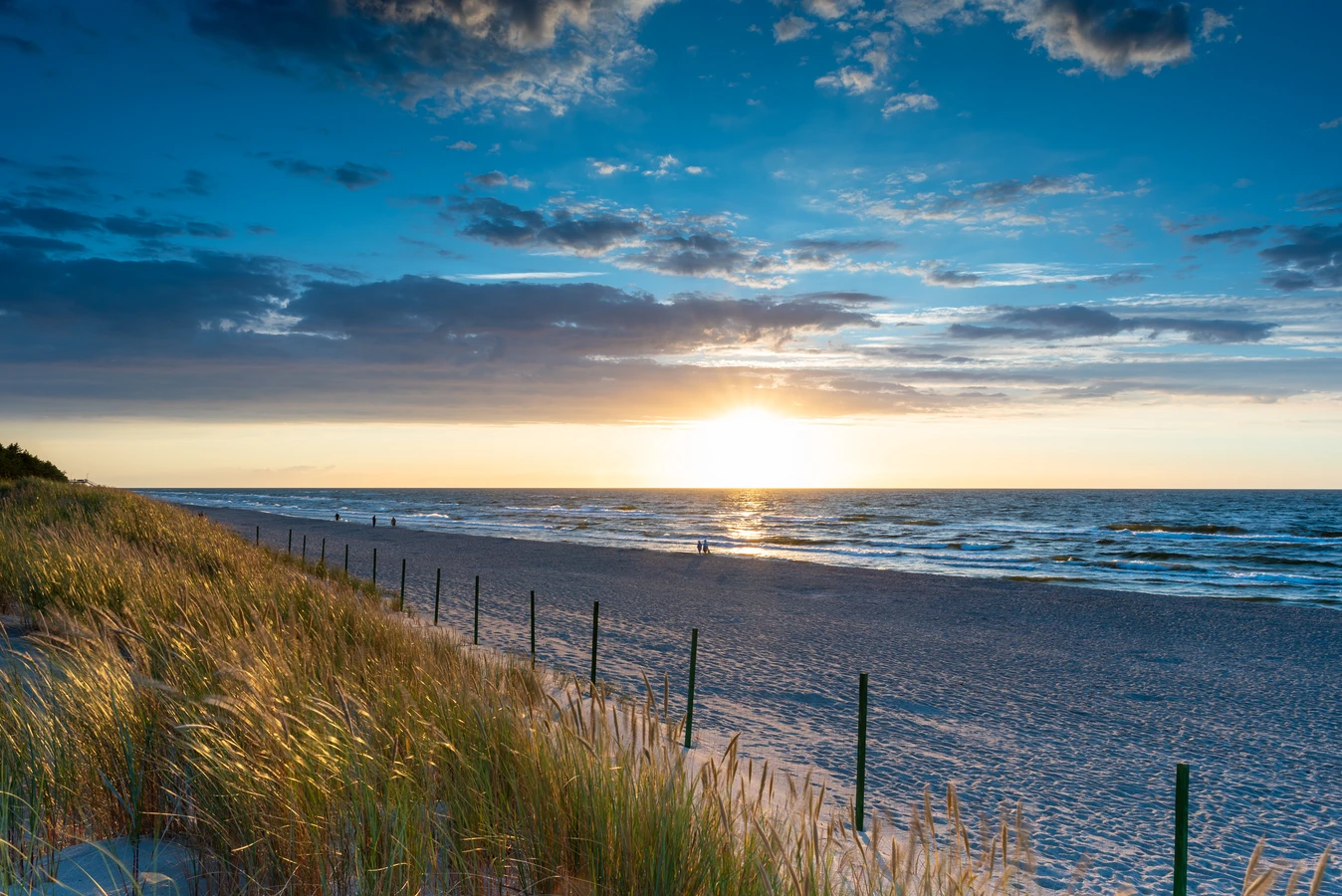 Trawa z rolki – jak przygotować podłoże?