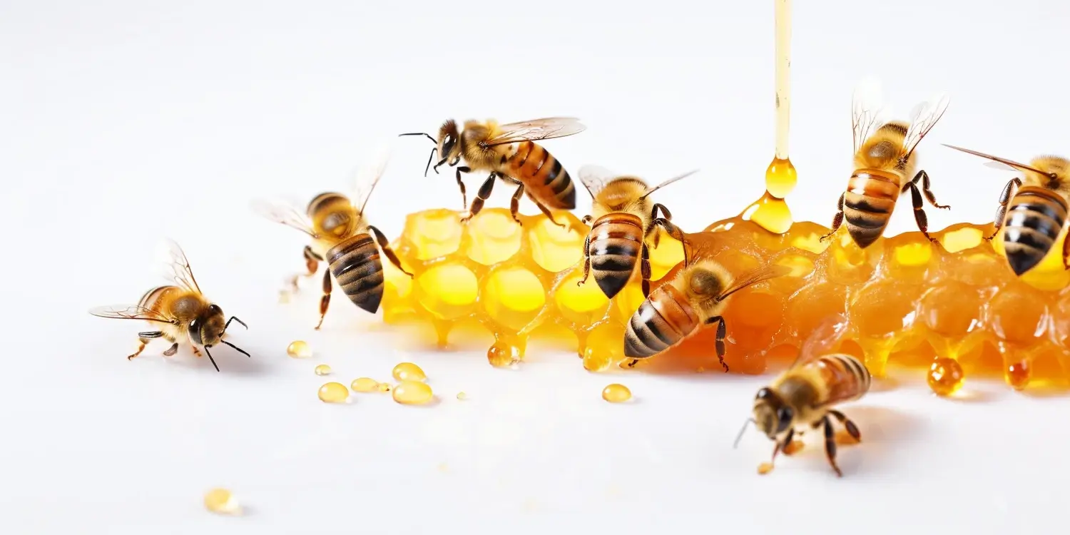 Jakie matki pszczele polecacie?