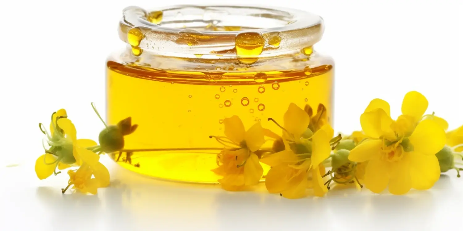 Jak uzyskać miód spadziowy?