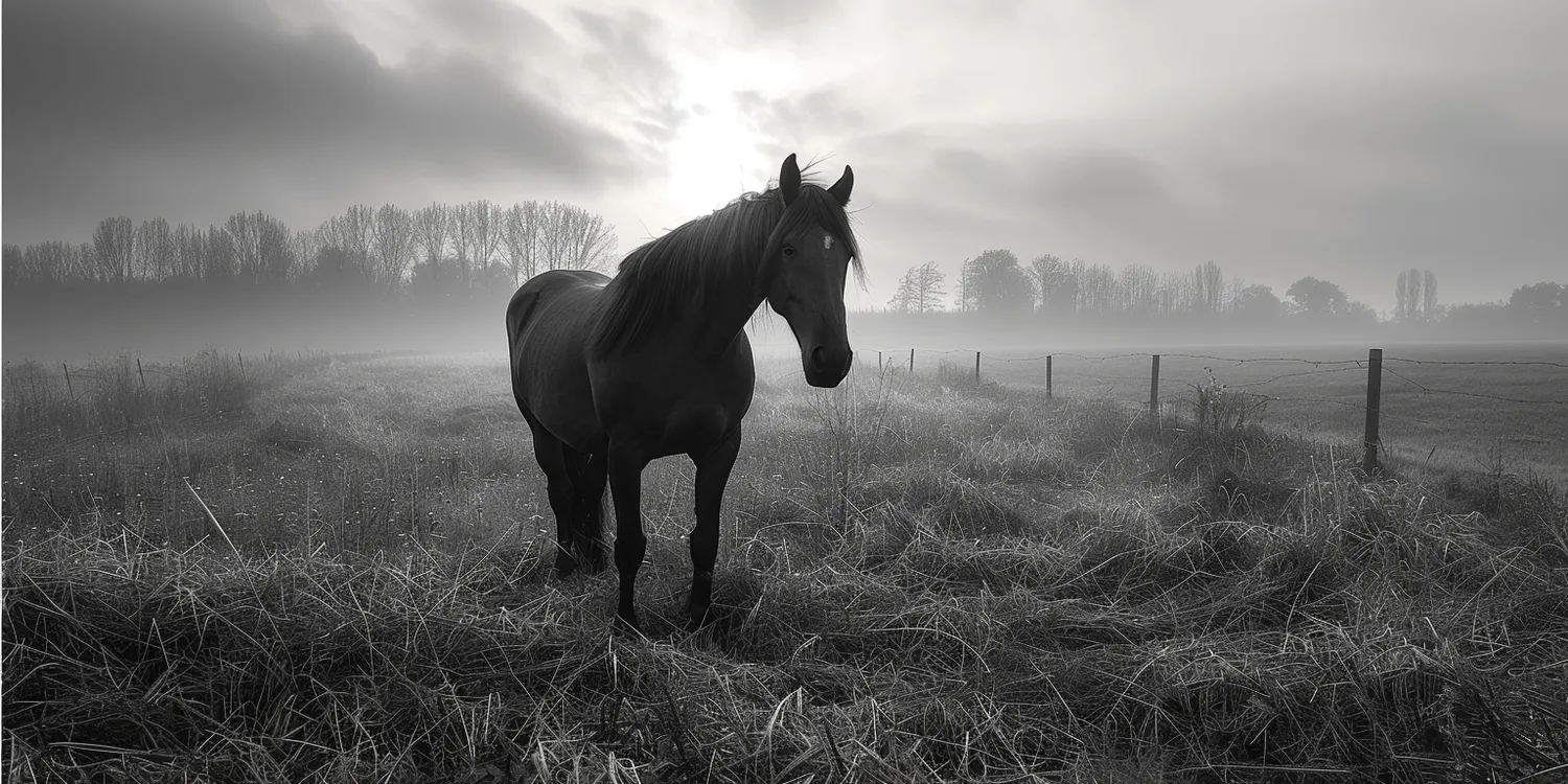 Jak zbudować krematorium dla zwierząt?