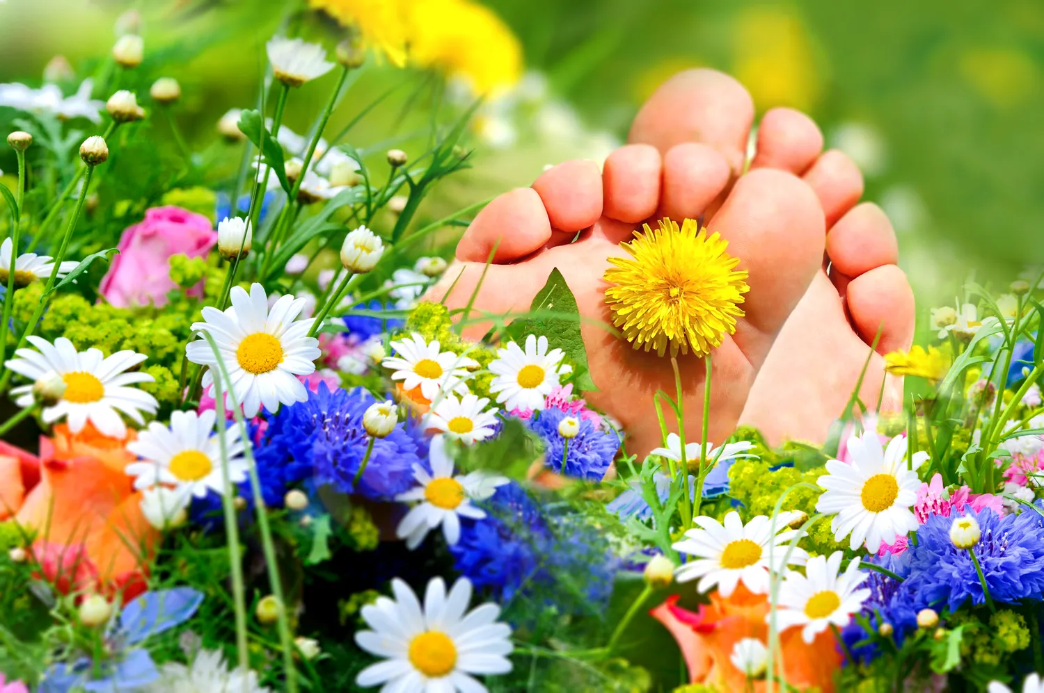  Jaka myjka ultradźwiękowa w gabinecie podologicznym? 